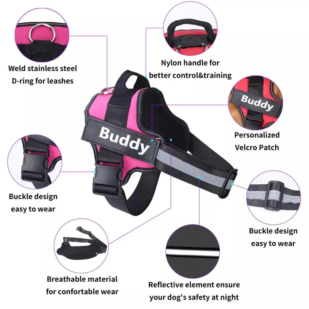 North Hound Co. Premium No-Pull Personalized Adventure Harness