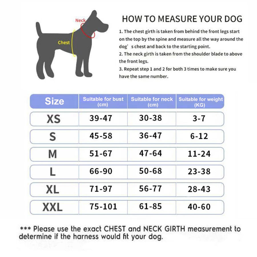 North Hound Co. Premium No-Pull Personalized Adventure Harness
