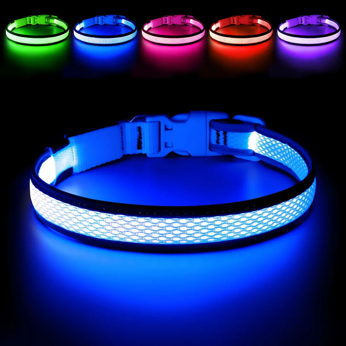 North Hound Co. Premium LED Safety Collar