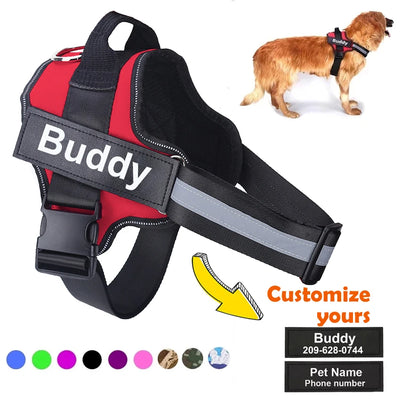 North Hound Co. Premium No-Pull Personalized Adventure Harness