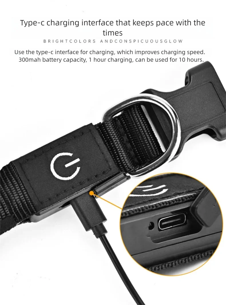 North Hound Co. Premium LED Safety Collar