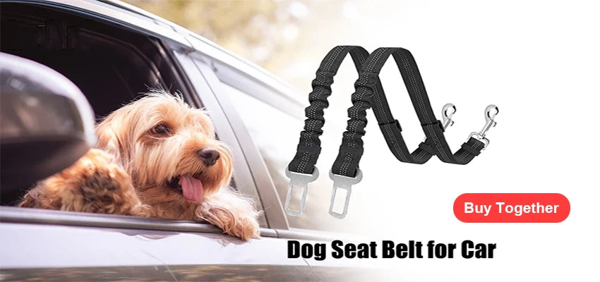 North Hound Co. Premium No-Pull Personalized Adventure Harness