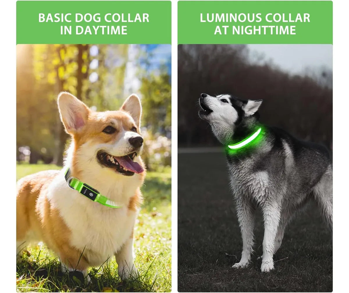 North Hound Co. Premium LED Safety Collar