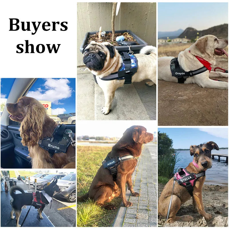 North Hound Co. Premium No-Pull Personalized Adventure Harness
