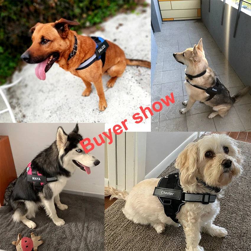 North Hound Co. Premium No-Pull Personalized Adventure Harness