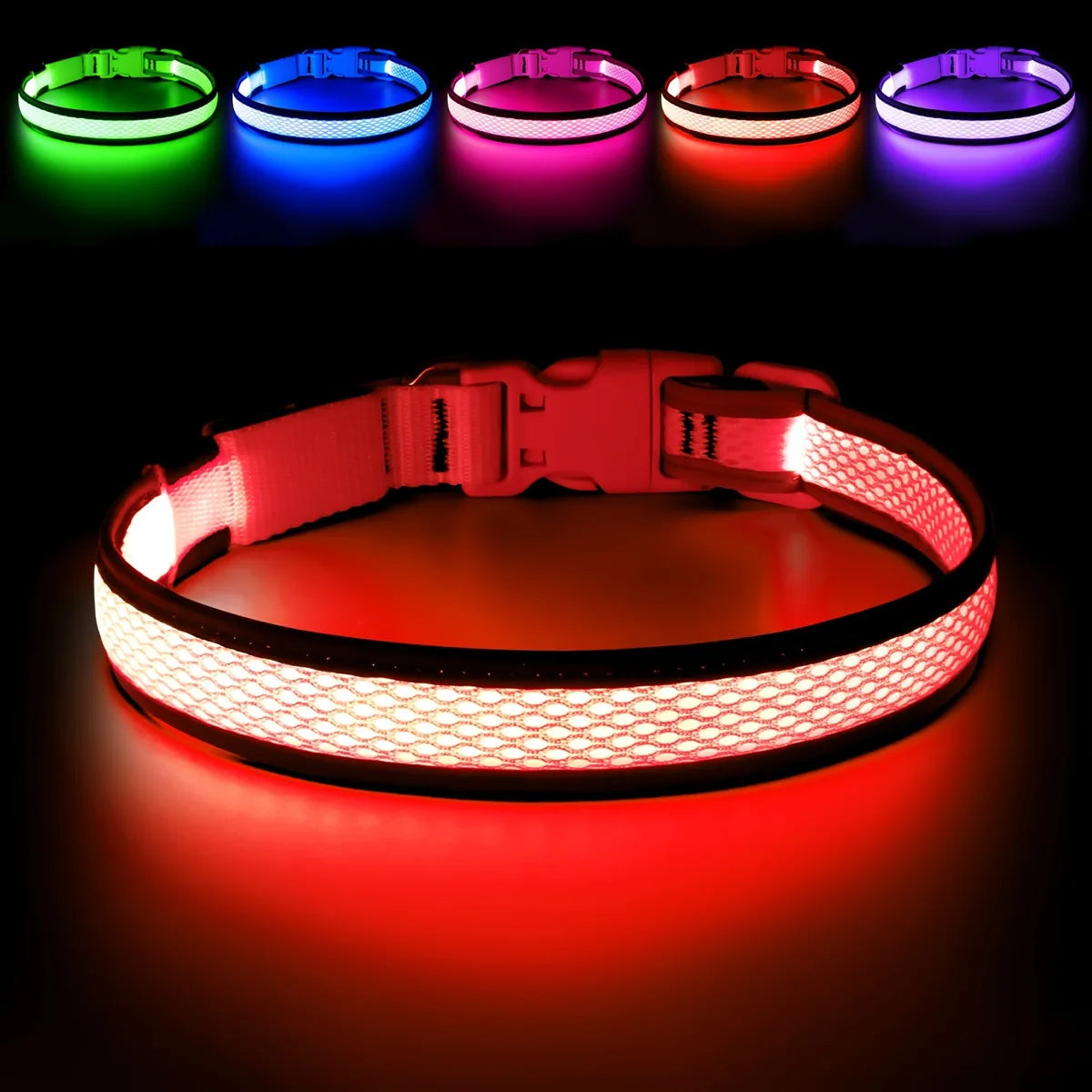 North Hound Co. Premium LED Safety Collar